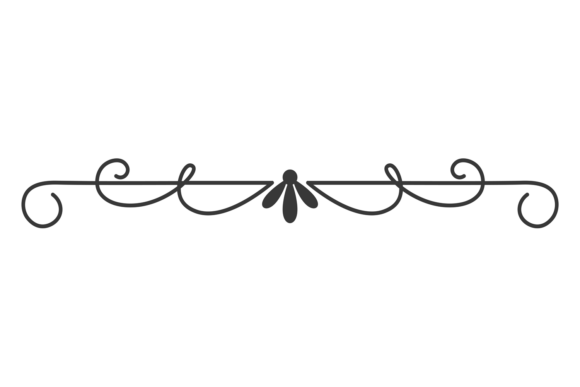 Decorative Line Divider. Vintage Classic Graphics